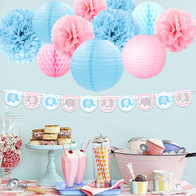 Elephant Gender Reveal Kit
