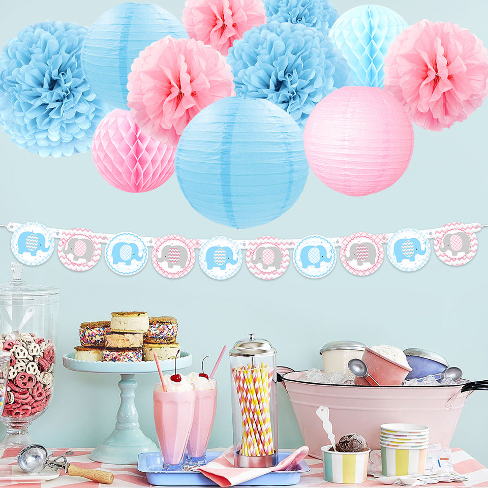 Elephant Gender Reveal Kit