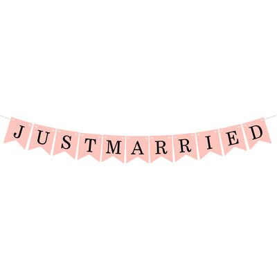 Nicro Just Married Banner Garland