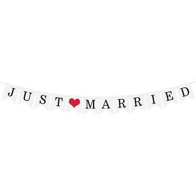 Nicro Just Married Banner Garland