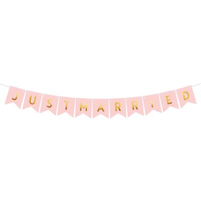 Nicro Just Married Banner Garland