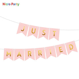 Nicro Just Married Banner Garland