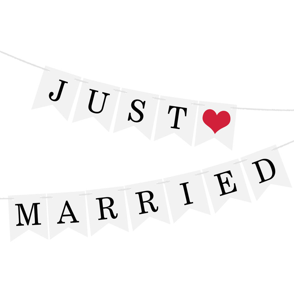 Nicro Just Married Banner Garland