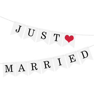 Nicro Just Married Banner Garland