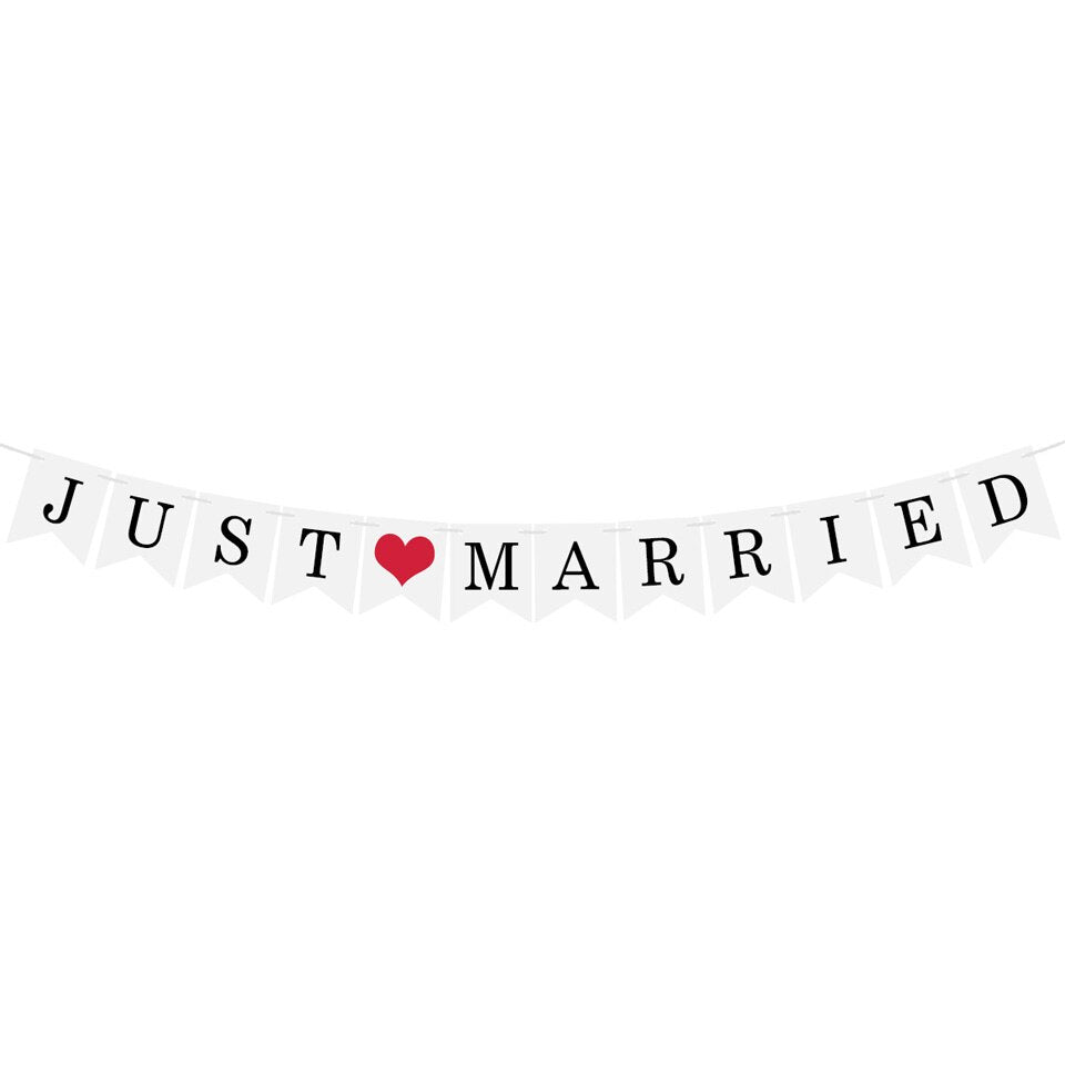 Nicro Just Married Banner Garland