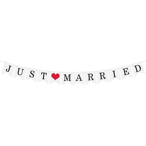 Image of Nicro Just Married Banner Garland