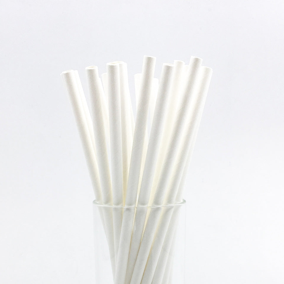 25 pcs/lot Paper Straws | Nicro Party