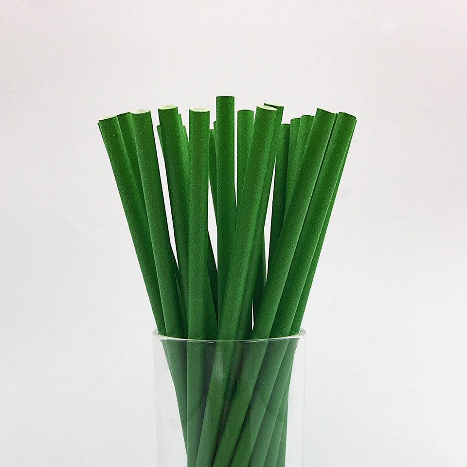 25 pcs/lot Paper Straws | Nicro Party