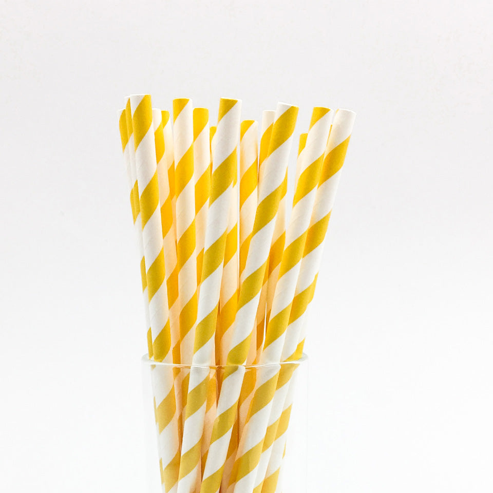 25 pcs/lot Paper Straws | Nicro Party