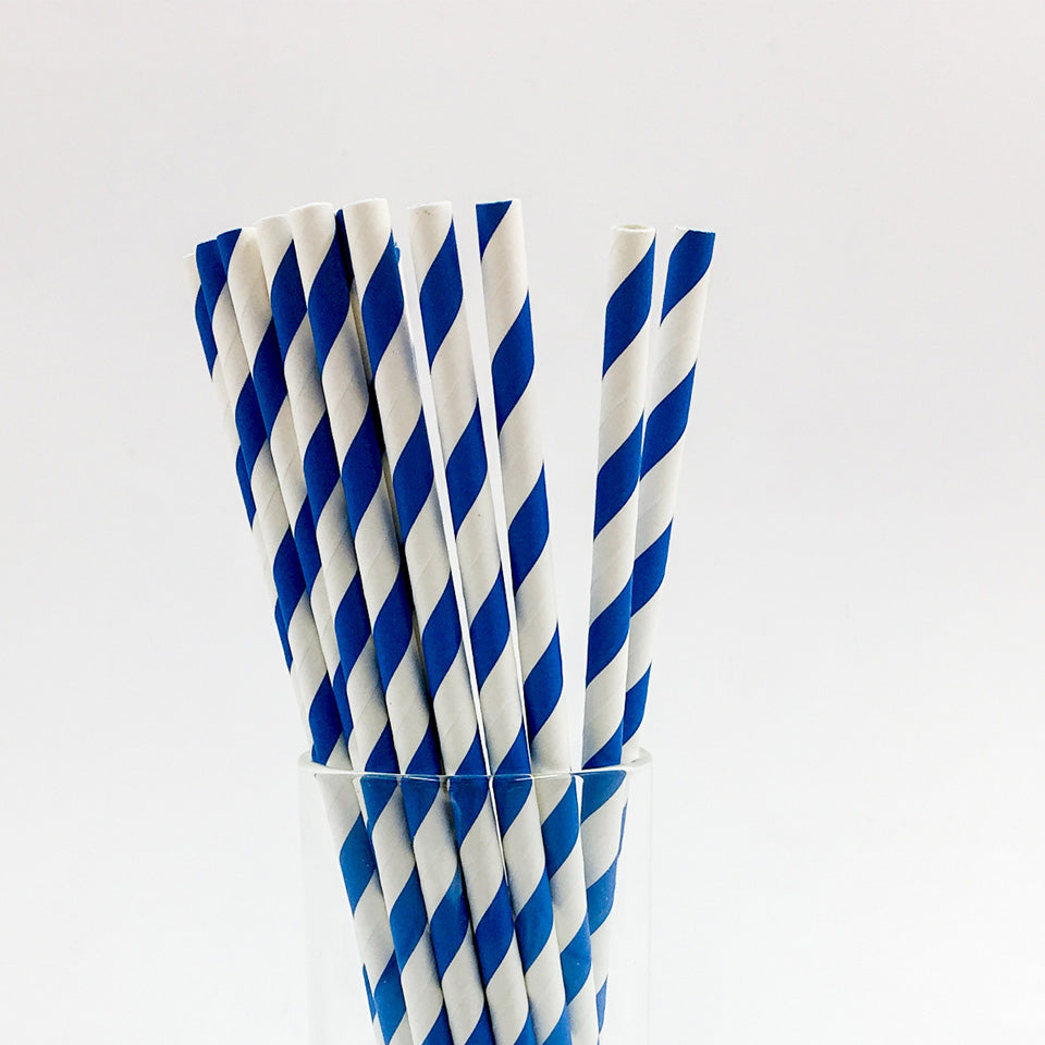 25 pcs/lot Paper Straws | Nicro Party