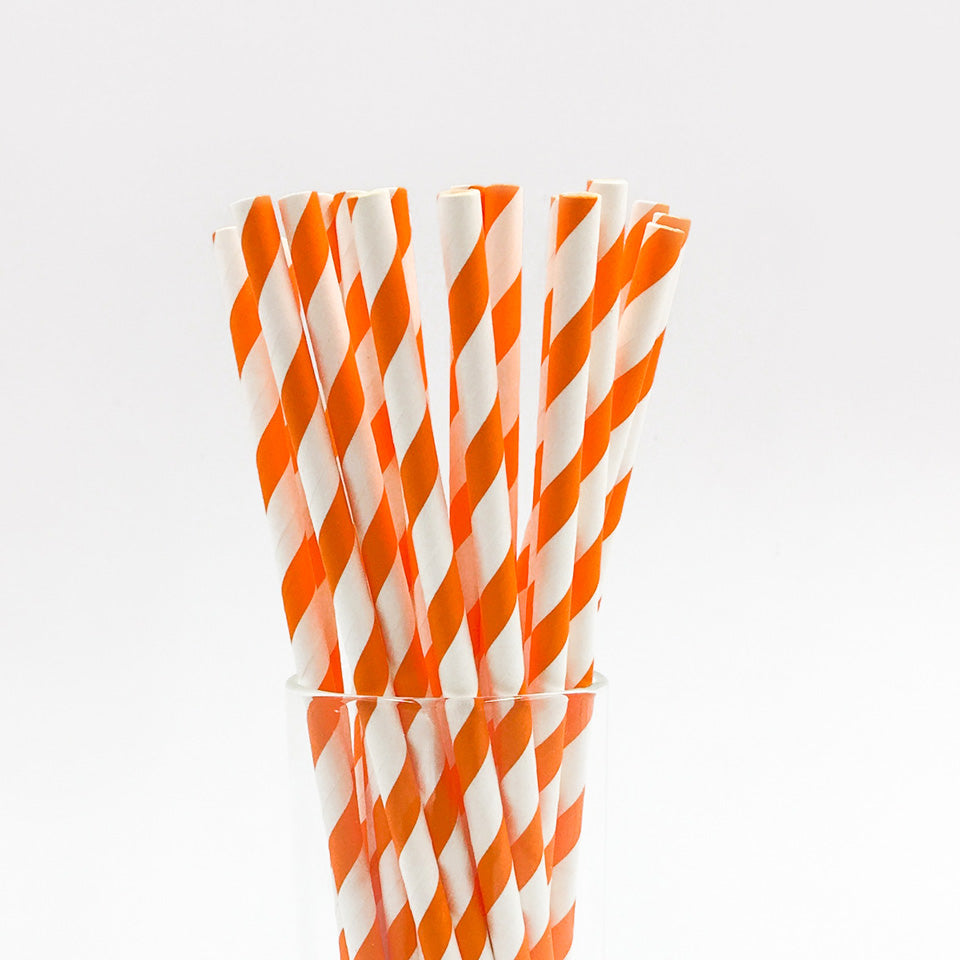 25 pcs/lot Paper Straws | Nicro Party