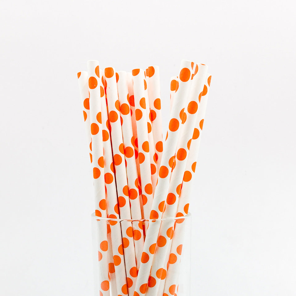 25 pcs/lot Paper Straws | Nicro Party