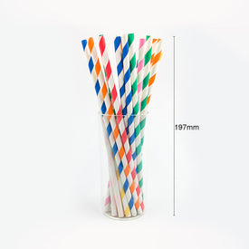 25 pcs/lot Paper Straws | Nicro Party