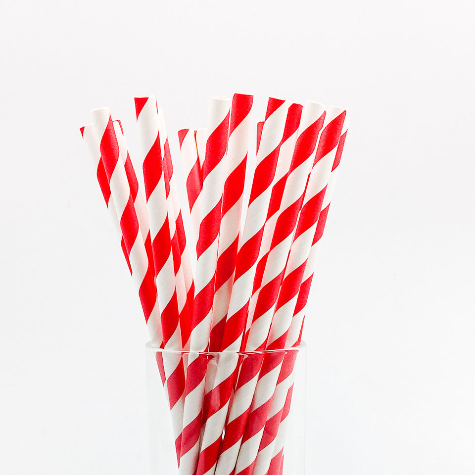25 pcs/lot Paper Straws | Nicro Party