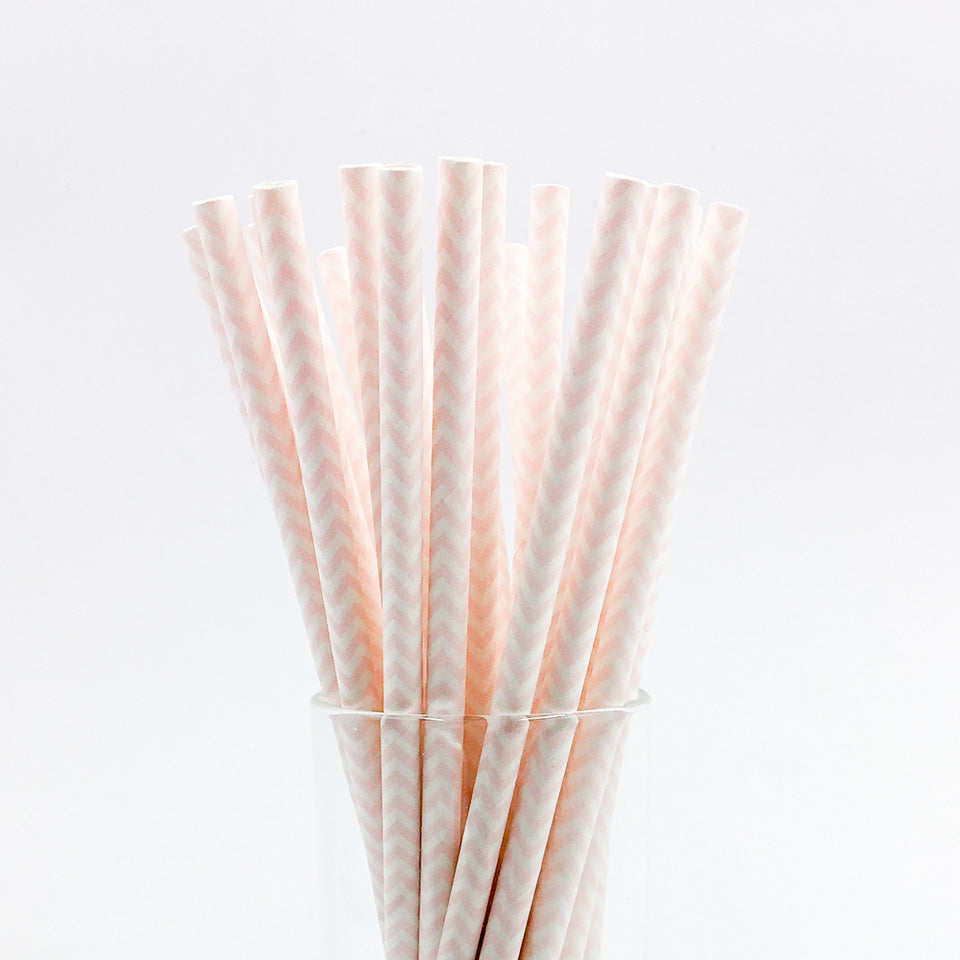 25 pcs/lot Paper Straws | Nicro Party
