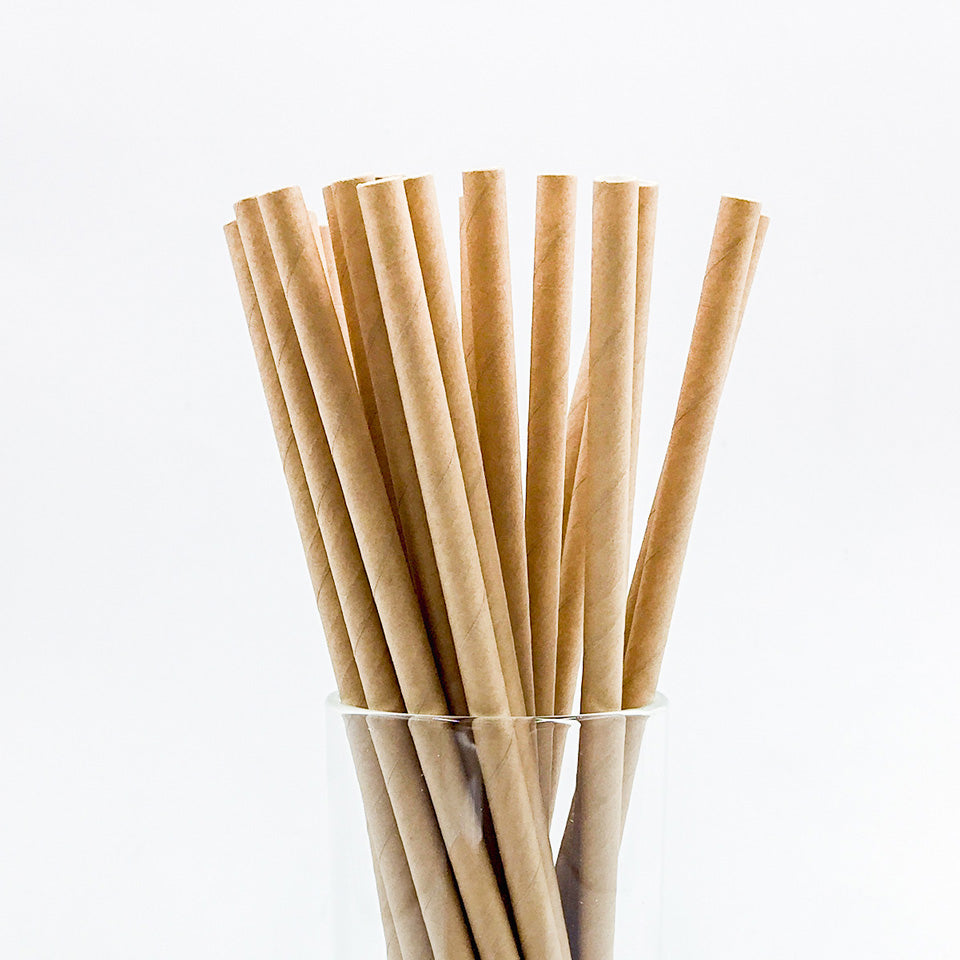 25 pcs/lot Paper Straws | Nicro Party