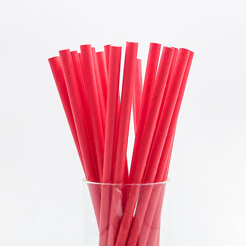 25 pcs/lot Paper Straws | Nicro Party