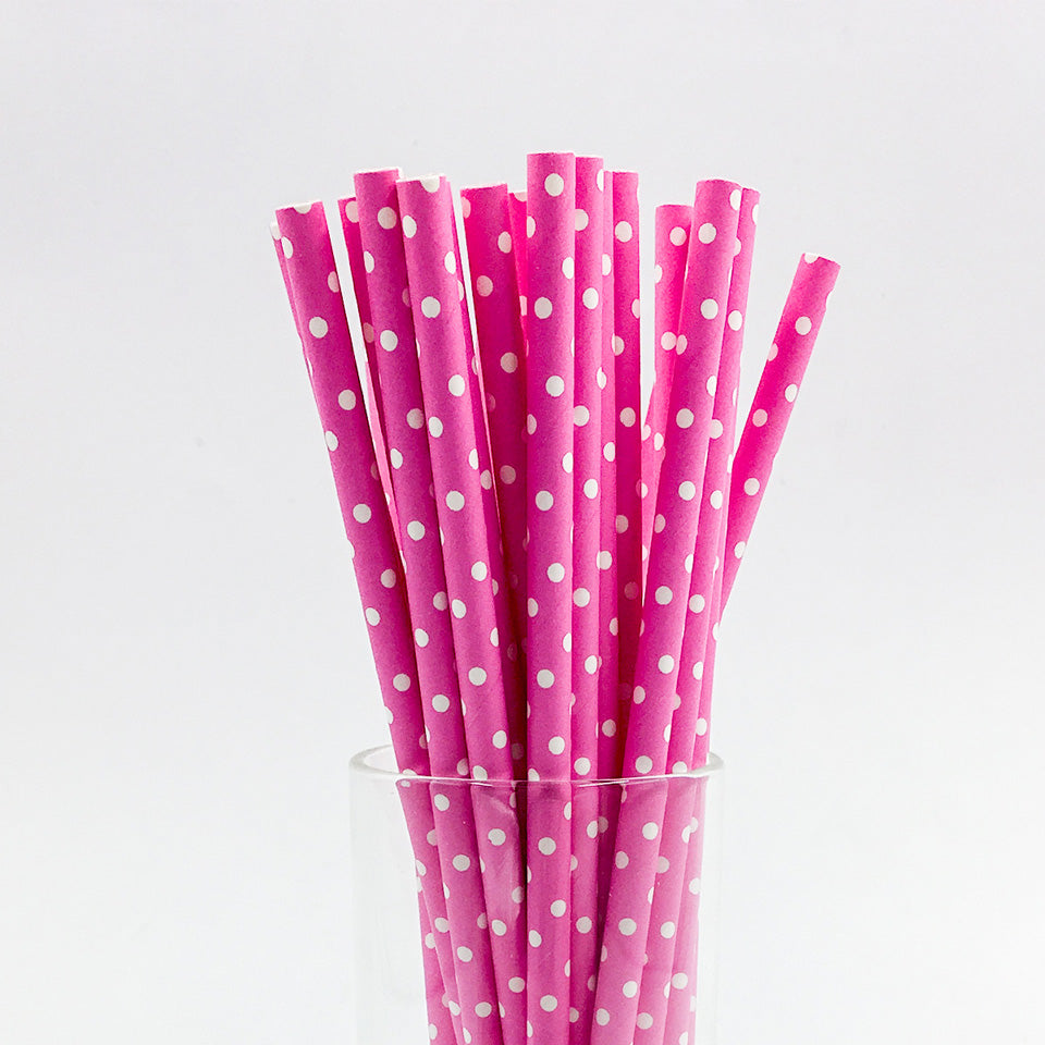 25 pcs/lot Paper Straws | Nicro Party