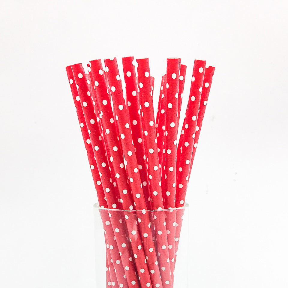 25 pcs/lot Paper Straws | Nicro Party