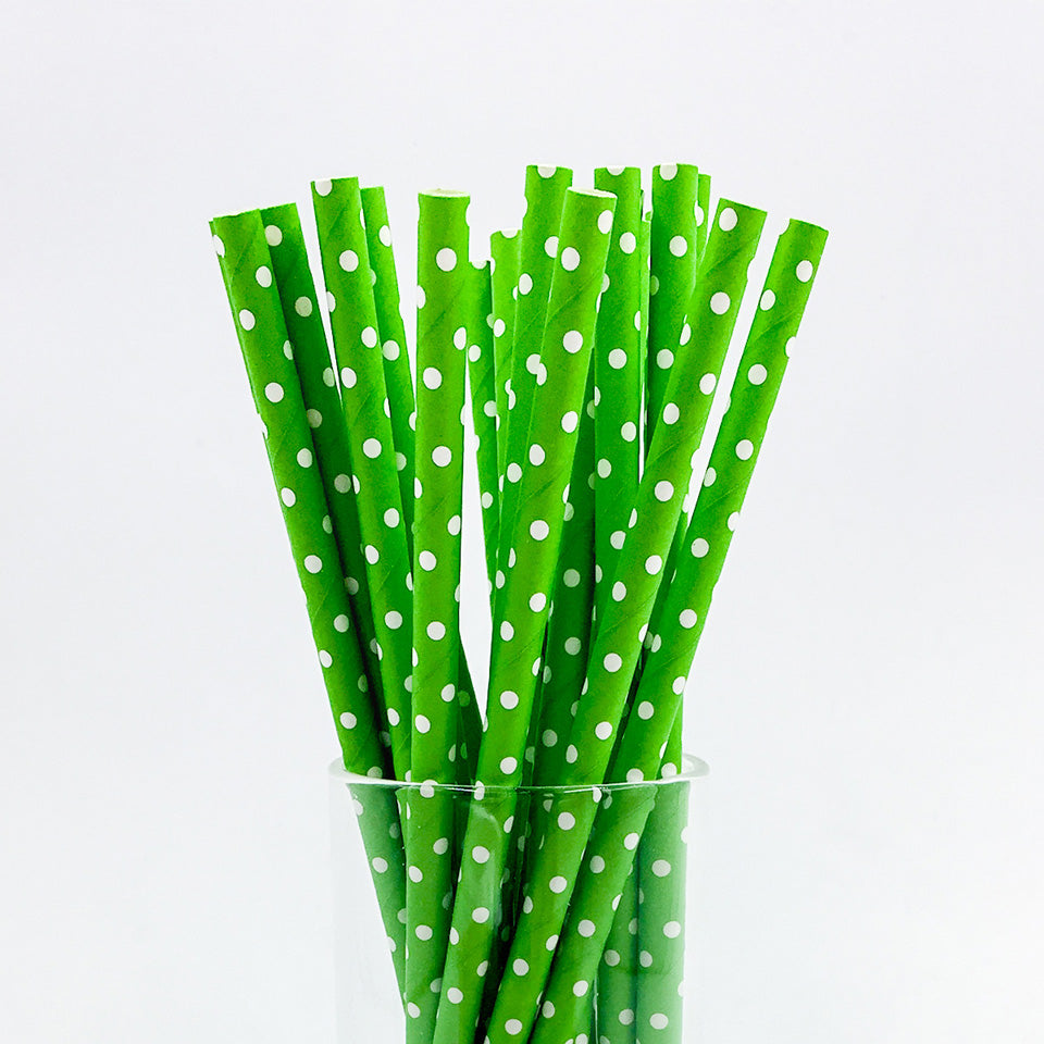 25 pcs/lot Paper Straws | Nicro Party