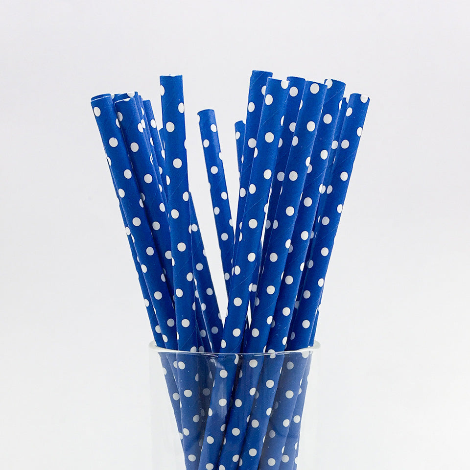 25 pcs/lot Paper Straws | Nicro Party