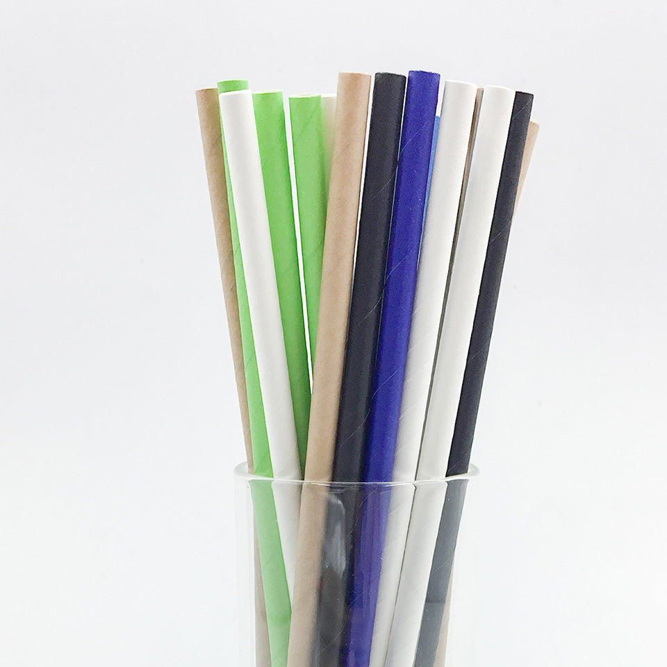 25 pcs/lot Paper Straws | Nicro Party