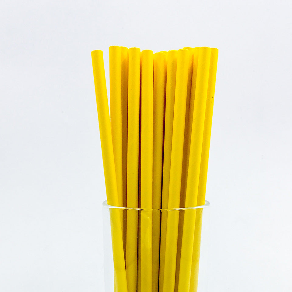 25 pcs/lot Paper Straws | Nicro Party