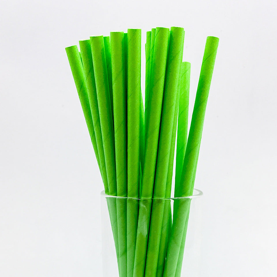 25 pcs/lot Paper Straws | Nicro Party