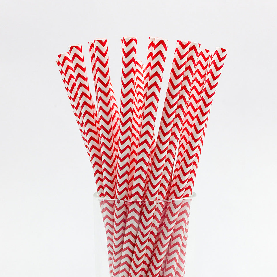 25 pcs/lot Paper Straws | Nicro Party