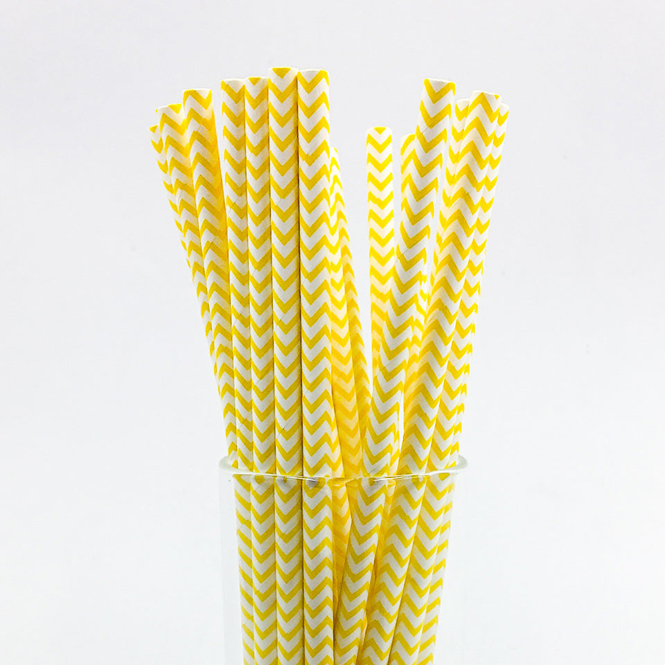 25 pcs/lot Paper Straws | Nicro Party