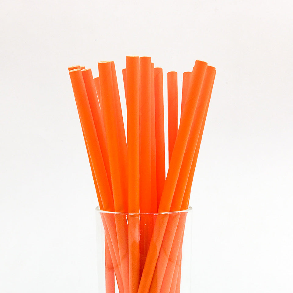 25 pcs/lot Paper Straws | Nicro Party
