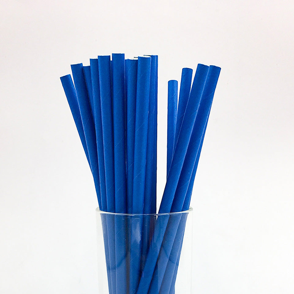 25 pcs/lot Paper Straws | Nicro Party