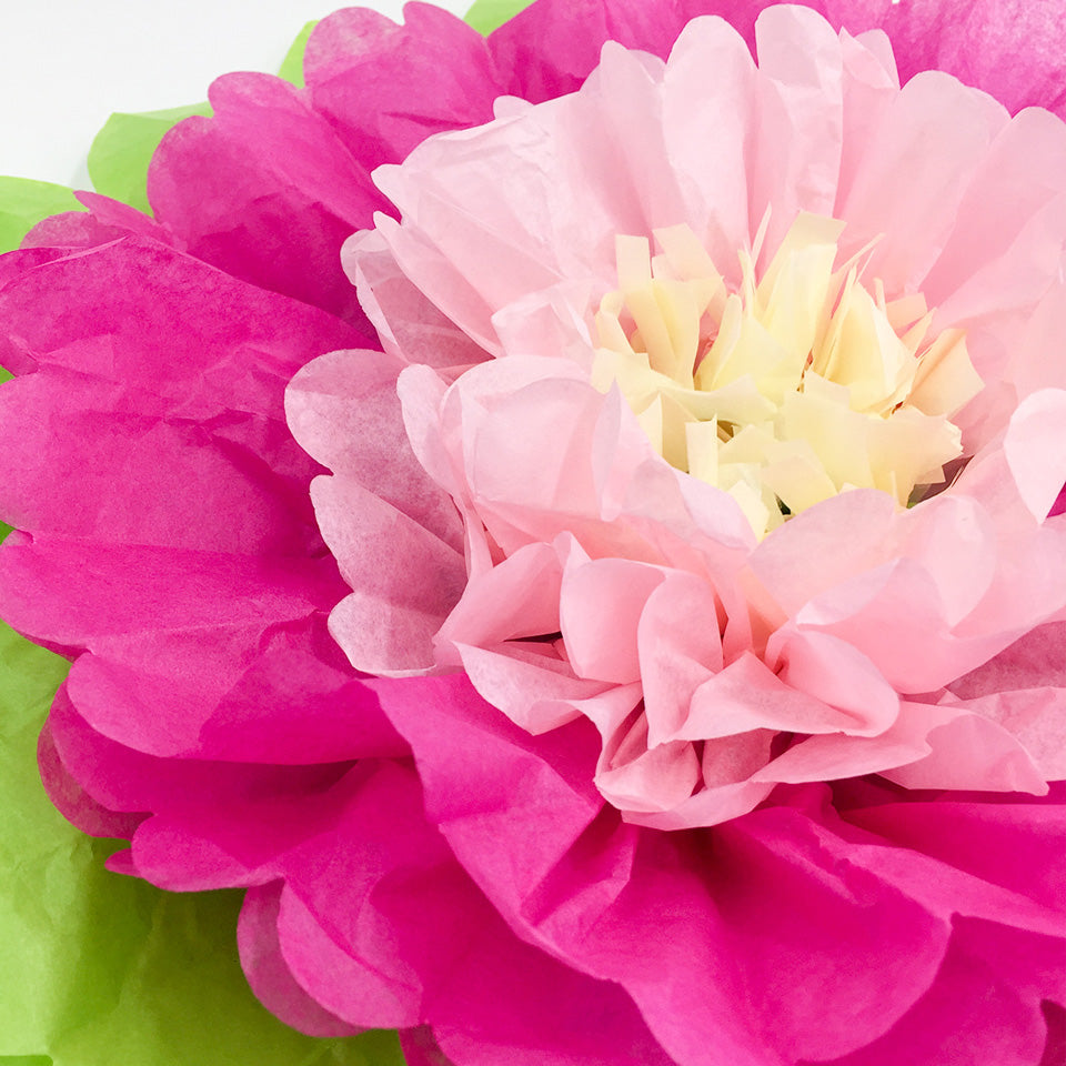 Rose Paper Flowers | Nicro Party