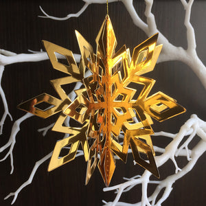 Three-dimensional Snowflake | Nicro Party