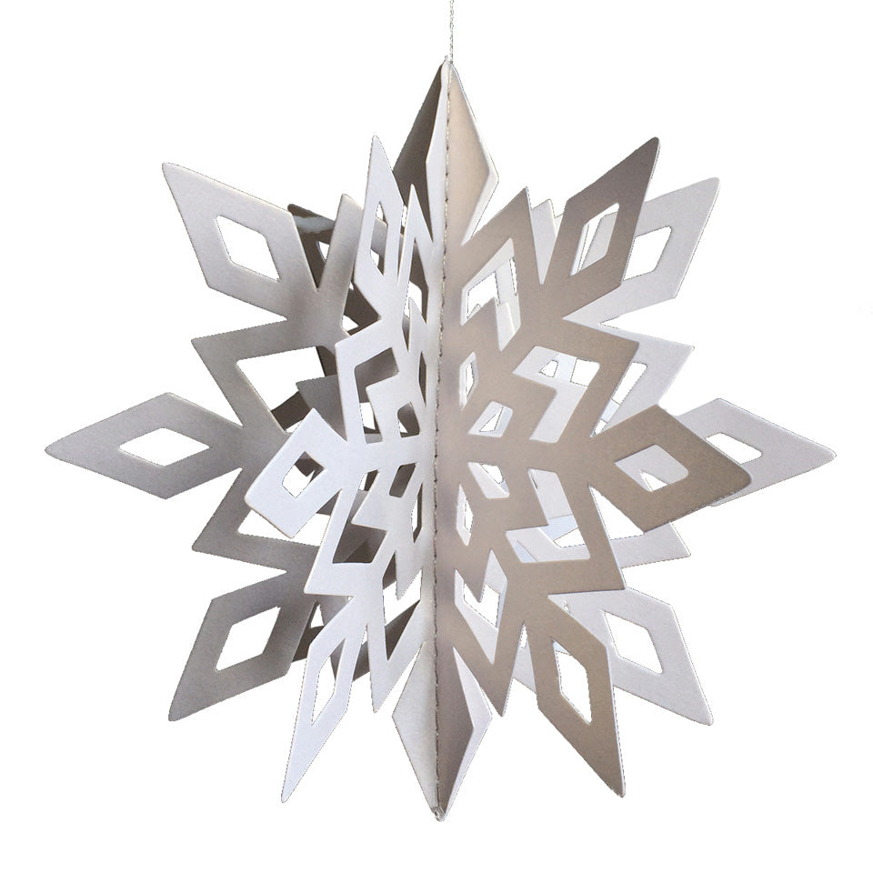 Three-dimensional Snowflake | Nicro Party