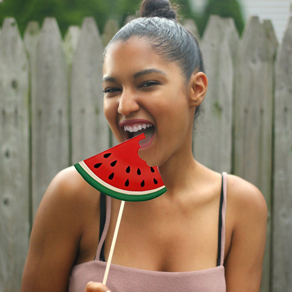 Flamingo photo props