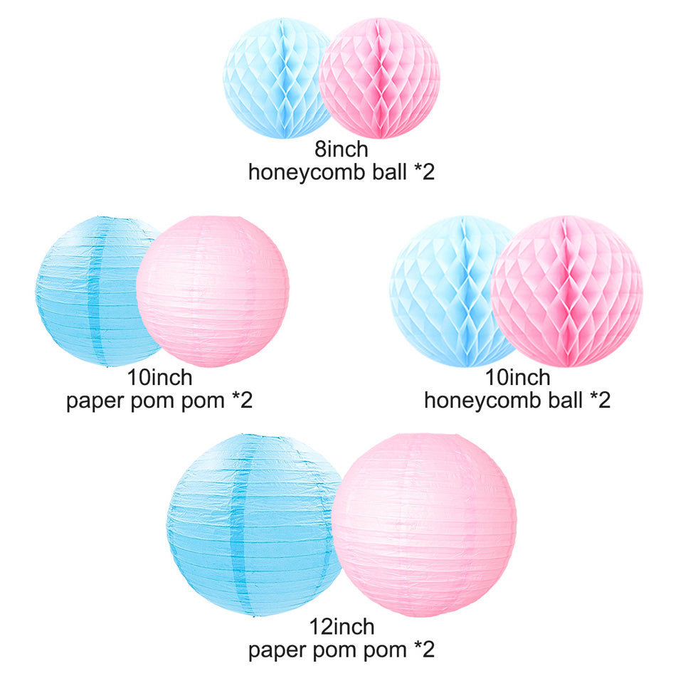 Boy or Girl Gender Reveal 